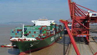 外貿貨代人警惕 不當網絡技術服務行為或面臨刑事拘留風險